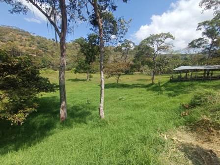 VENDO PARCELA EN CURITI PCC51472