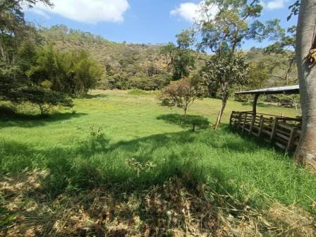 VENDO PARCELA EN CURITI PCC51472