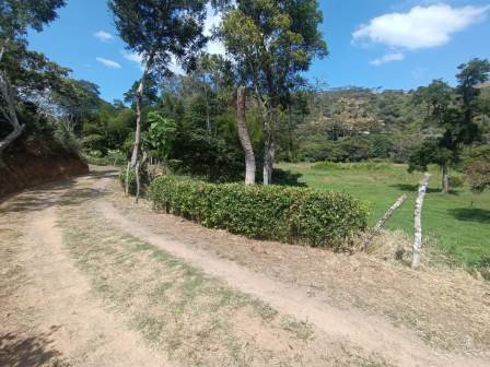 VENDO PARCELA EN CURITI PCC51472