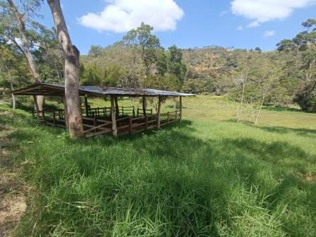 VENDO PARCELA EN CURITI PCC51472