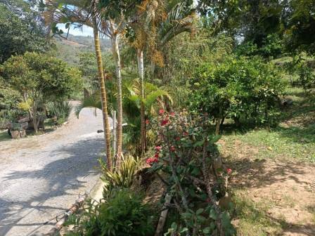 VENDO FINCA EN CURITI-LA LAJA FCU11473
