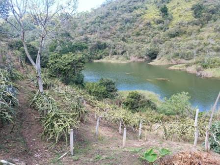 VENDO FINCA EN CURITI-LA LAJA FCU11473