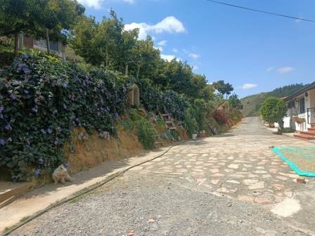 VENDO FINCA EN CURITI-LA LAJA FCU11473