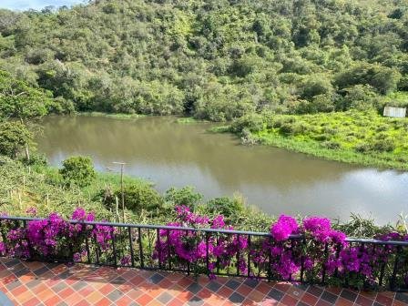 VENDO FINCA EN CURITI-LA LAJA FCU11473