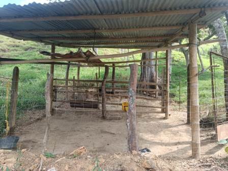 VENDO FINCA EN CURITI FCU21474