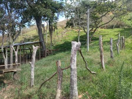 VENDO FINCA EN CURITI FCU21474