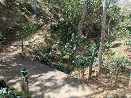 VENDO FINCA EN CURITI FCU21474