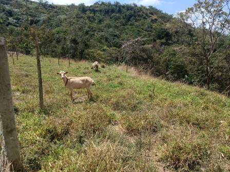 VENDO FINCA EN CURITI FCU21474