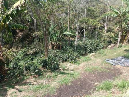 VENDO FINCA EN CURITI FCU21474