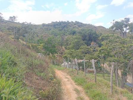 VENDO FINCA EN CURITI FCU21474