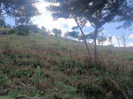 VENDO FINCA EN CURITI FCU21474