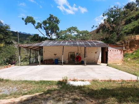 VENDO FINCA EN CURITI FCU21474