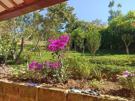 VENTA PARCELA BARICHARA PBA11477