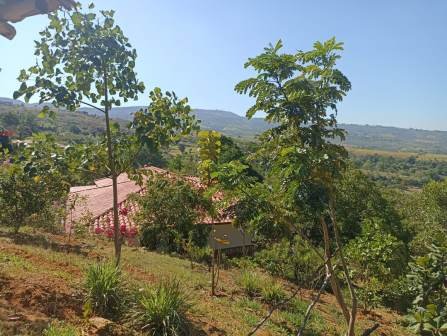 VENTA PARCELA BARICHARA PBA11477