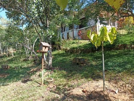 VENTA PARCELA BARICHARA PBA11477