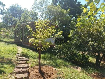 VENTA PARCELA BARICHARA PBA11477