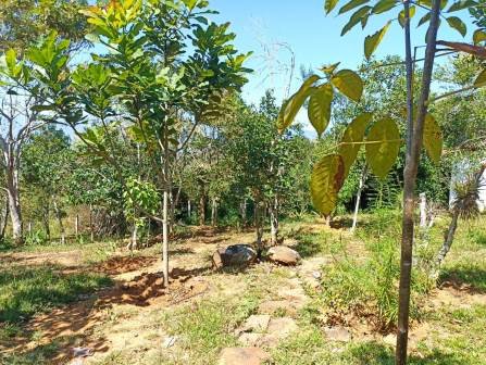 VENTA PARCELA BARICHARA PBA11477