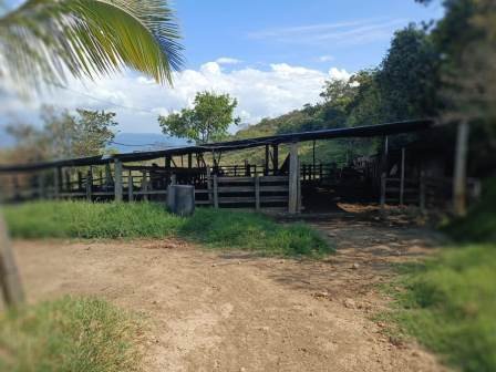 VENDO FINCA EN EL HATO FHA11484