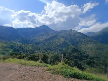 VENDO FINCA EN EL HATO FHA11484