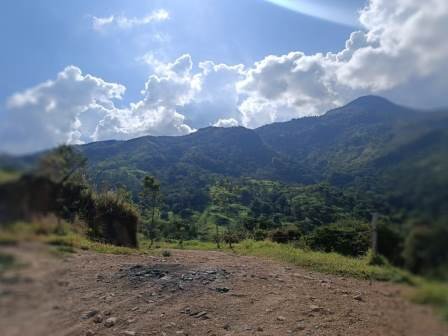 VENDO FINCA EN EL HATO FHA11484