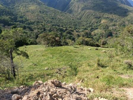 VENDO FINCA EN EL HATO FHA11484