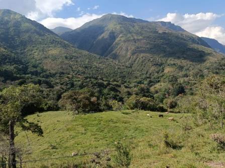 VENDO FINCA EN EL HATO FHA11484