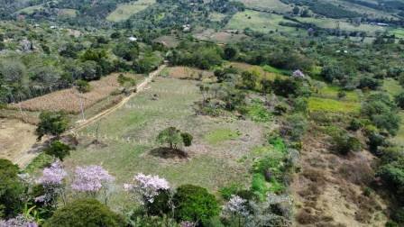 VENDO PARCELA CURITI-VEREDA LA PEÑA PARTE ALTA PCC61491