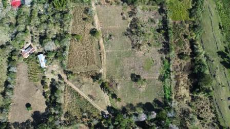 VENDO PARCELA CURITI-VEREDA LA PEÑA PARTE ALTA PCC61491