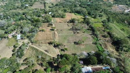 VENDO PARCELA CURITI-VEREDA LA PEÑA PARTE ALTA PCC61491