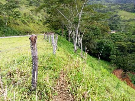 VENDO LOTE CHARALA LCH11510