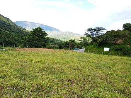 VENDO LOTE CHARALA LCH11510