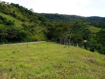 VENDO LOTE CHARALA LCH11510