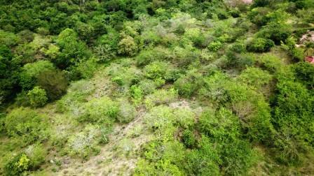 VENDO PARCELA PINCHOTE PP91527