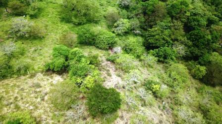 VENDO PARCELA PINCHOTE PP91527