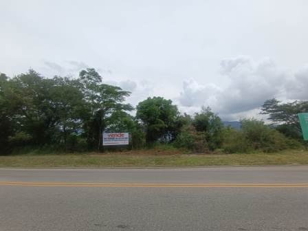 VENDO PARCELA PINCHOTE PP91527