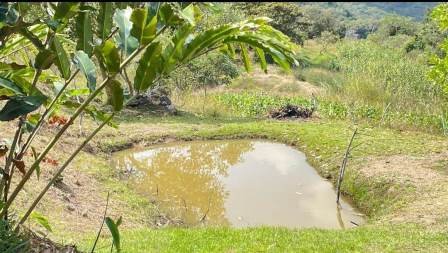 VENDO FINCA EN CURITI FCU31531