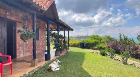 VENDO FINCA EN CURITI FCU31531