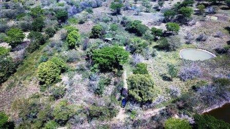 VENDO FINCA EN CABRERA FCA11592