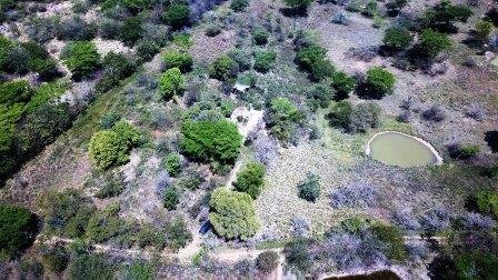 VENDO FINCA EN CABRERA FCA11592