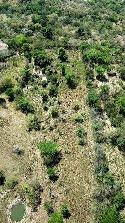 VENDO FINCA EN CABRERA FCA11592