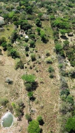 VENDO FINCA EN CABRERA FCA11592