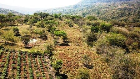 VENDO FINCA EN CABRERA FCA11592