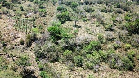 VENDO FINCA EN CABRERA FCA11592