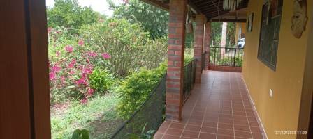 VENTA DE FINCA EN EL SOCORRO FSO21608