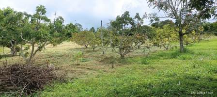 VENTA DE FINCA EN EL SOCORRO FSO21608