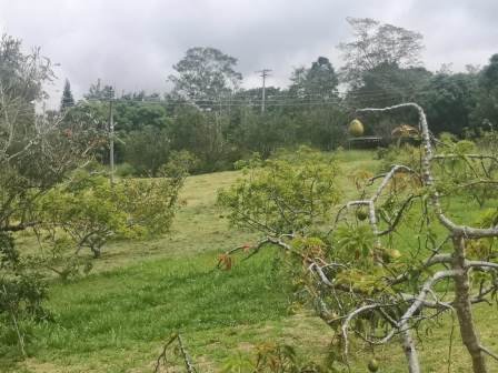 VENTA DE FINCA EN EL SOCORRO FSO21608