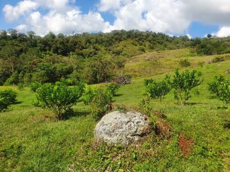 VENTA DE LOTE RURAL EN CHARALA  LCH21619