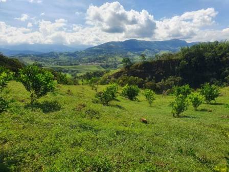 VENTA DE LOTE RURAL EN CHARALA  LCH21619