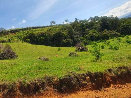 VENTA DE LOTE RURAL EN CHARALA  LCH31620