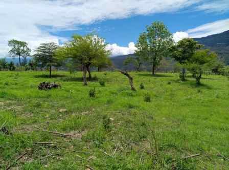 VENTA PARCELAS  PCC101644